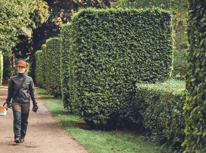 Ein Mann geht mit einem Rucksack einen Weg entlang, während er eine Stihl HLA Maschine trägt